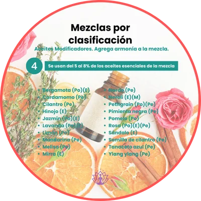 Mezclas de la concentracion (2)
